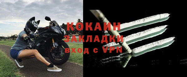 гидра Нея