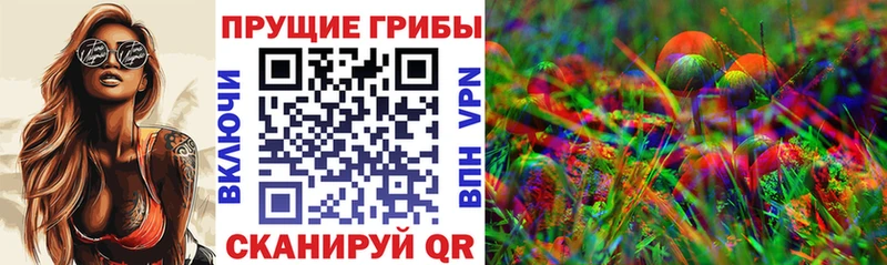 хочу   Певек  blacksprut зеркало  Галлюциногенные грибы мицелий 